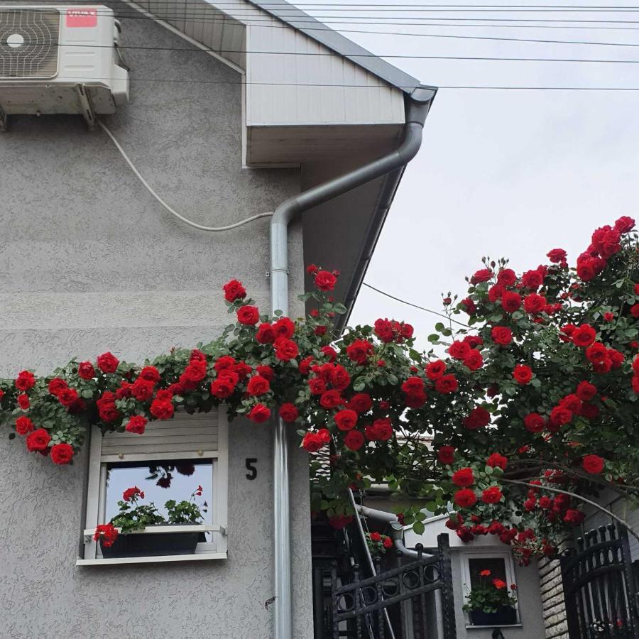 Fortress Apartments Ниш Экстерьер фото
